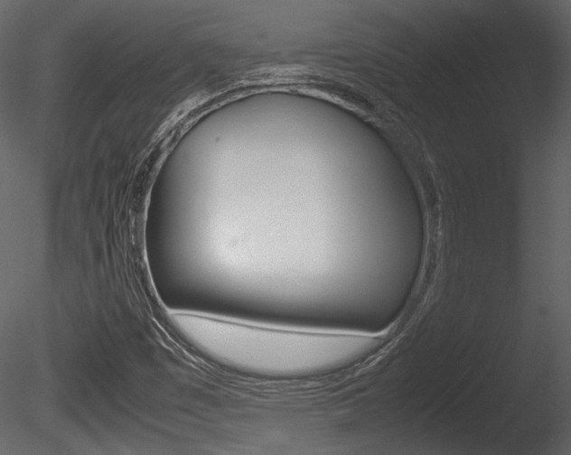 X0000085811449200703161016