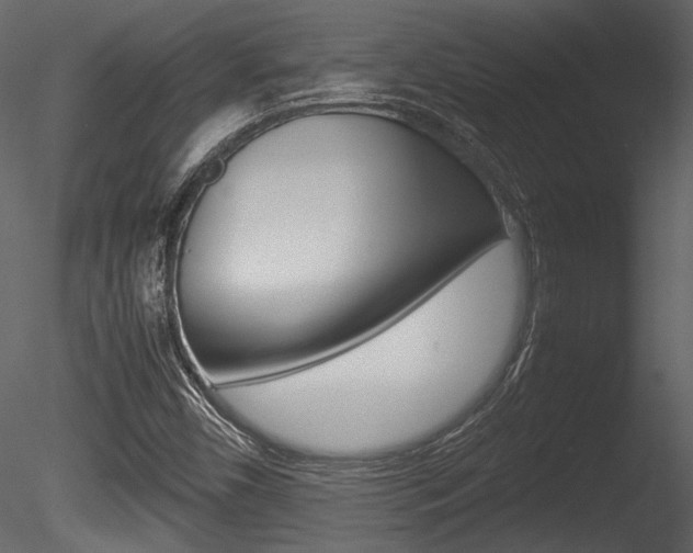 X0000085811450200703161016