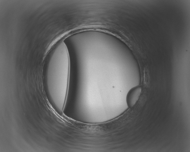 X0000085811452200703161016