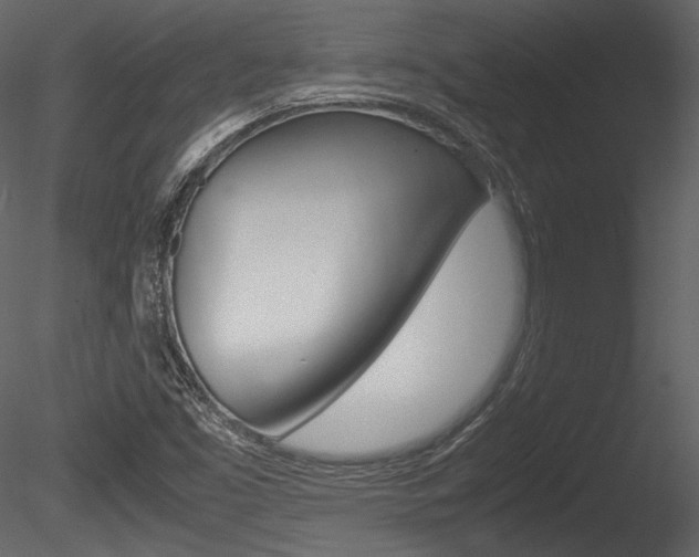 X0000085811453200703161016