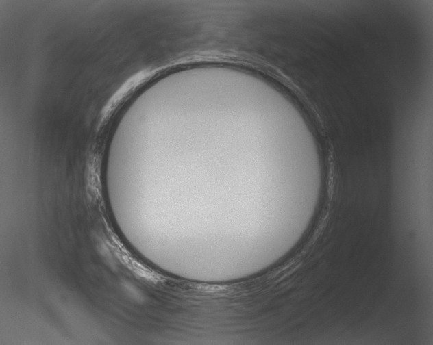 X0000085811454200703161016
