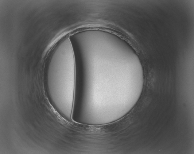 X0000085811456200703161016