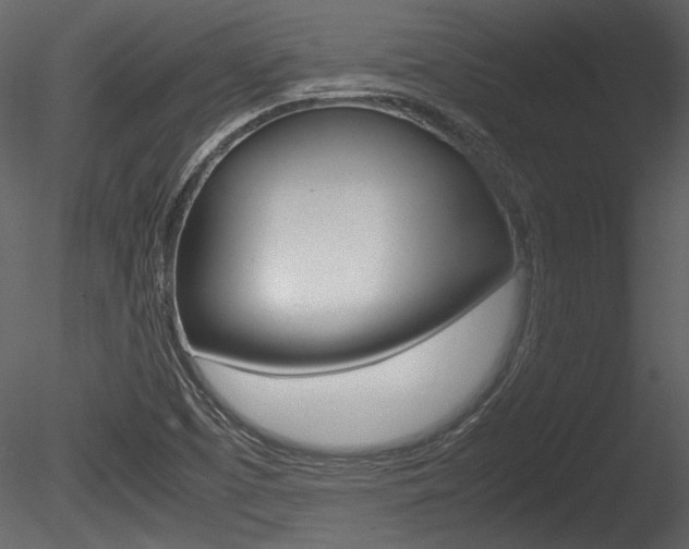 X0000085811457200703161016