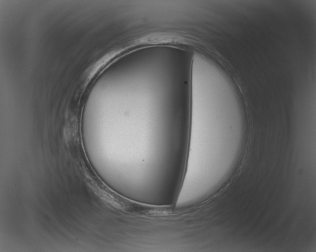 X0000085811465200703161016