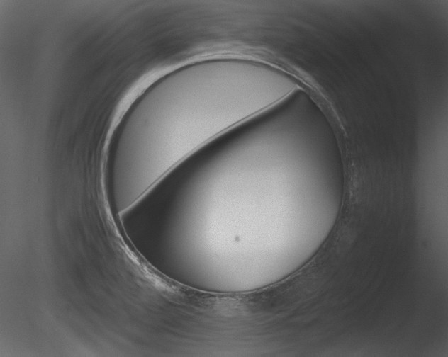 X0000085811472200703161015