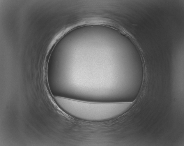 X0000085811477200703161015