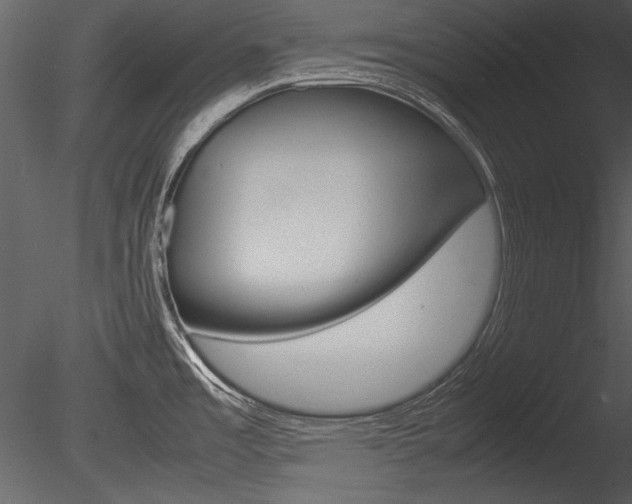 X0000085811485200703161015