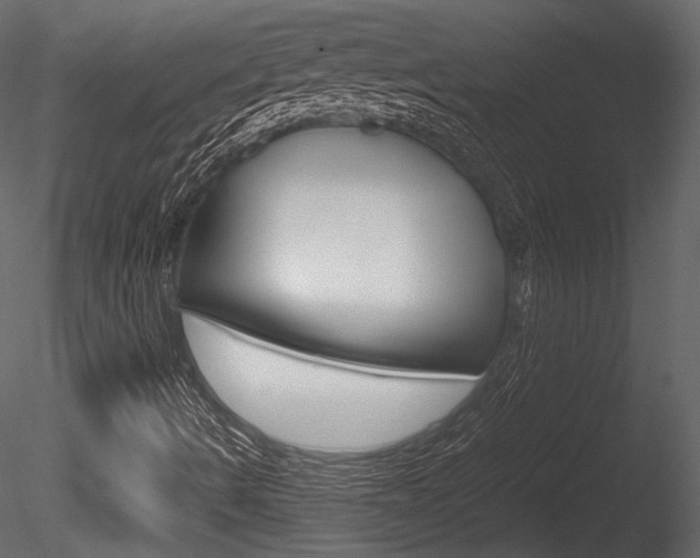 X0000085811490200703161014