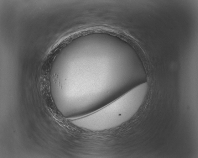 X0000085811496200703161014