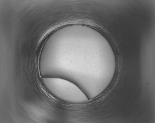 X0000085811498200703161014