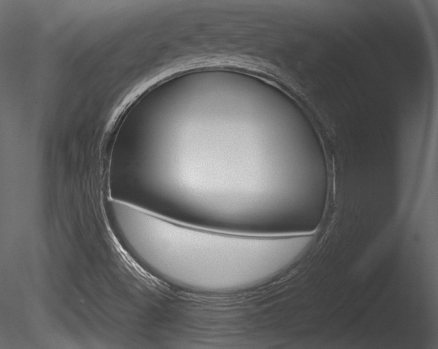 X0000085811500200703161015