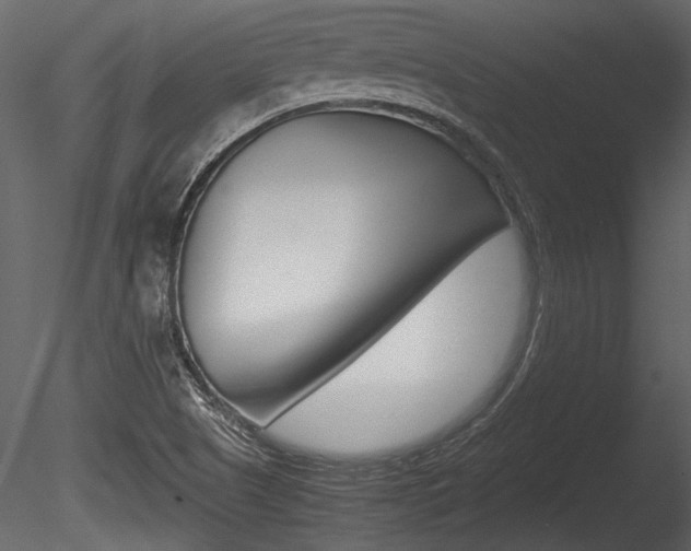X0000085811505200703161015