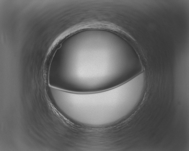 X0000085811506200703161015