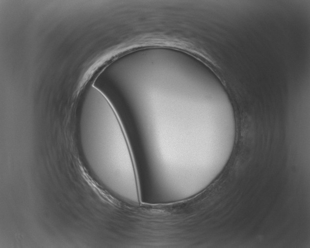 X0000085811507200703161015