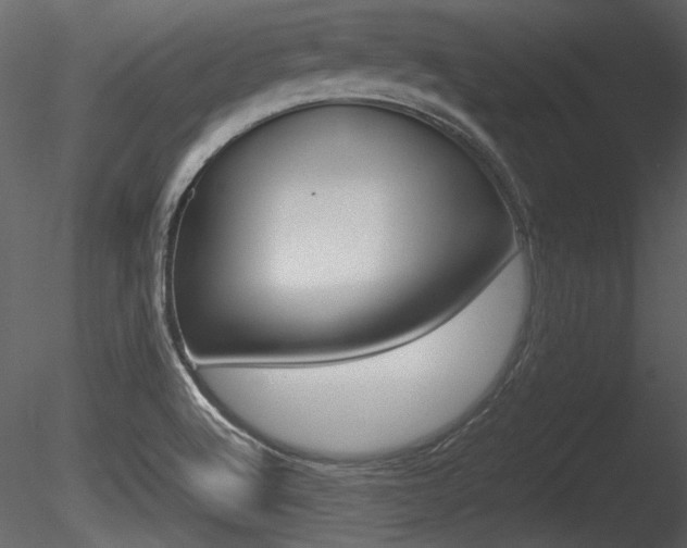 X0000085811512200703161015