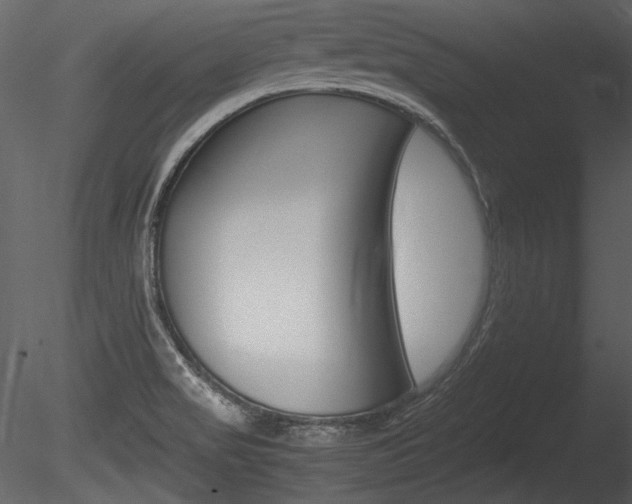 X0000085811517200703161015
