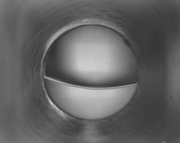 X0000085811527200703161015