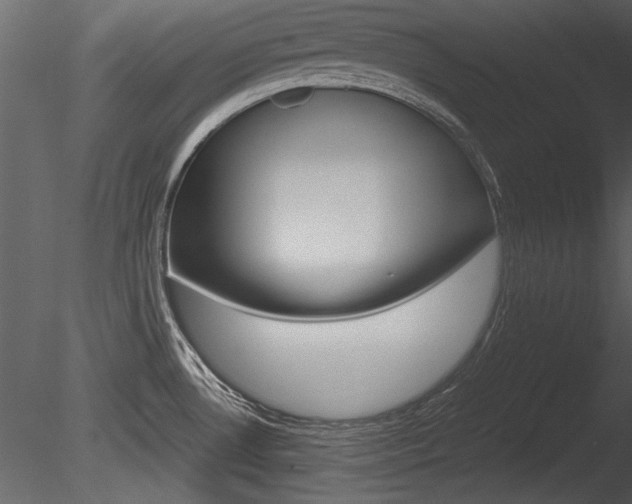 X0000085811530200703161015