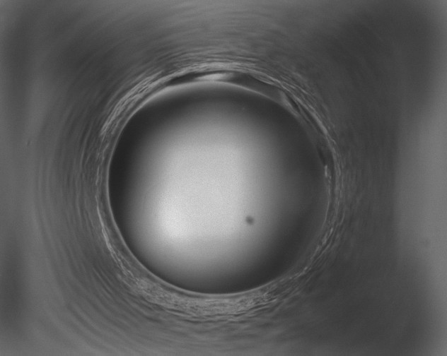 X0000085810001200703161208