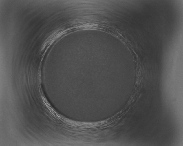 X0000085810002200703161208