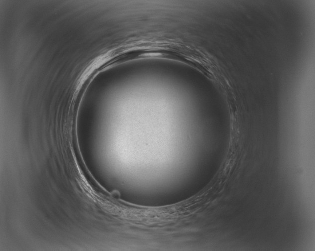 X0000085810003200703161208