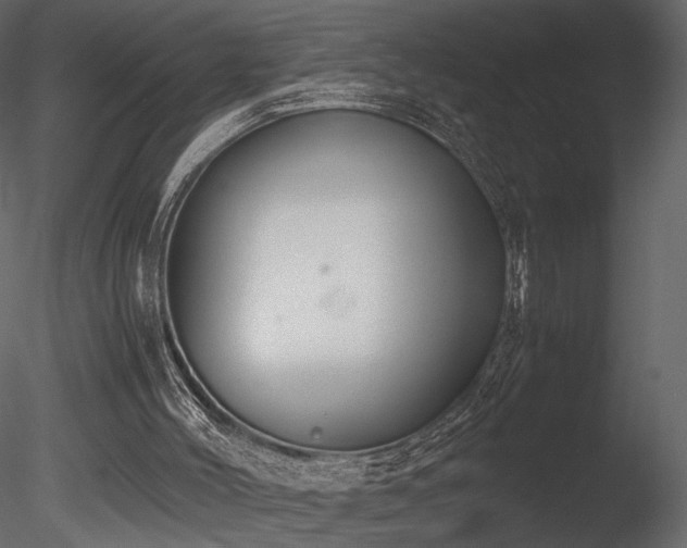 X0000085810004200703161208