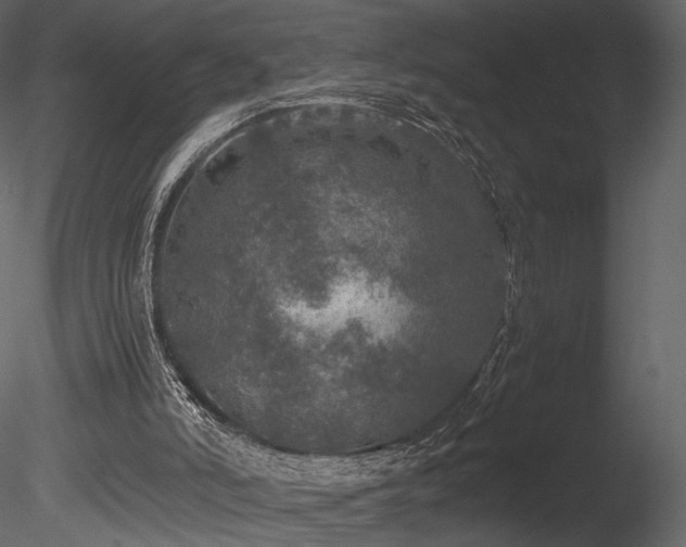 X0000085810006200703161208