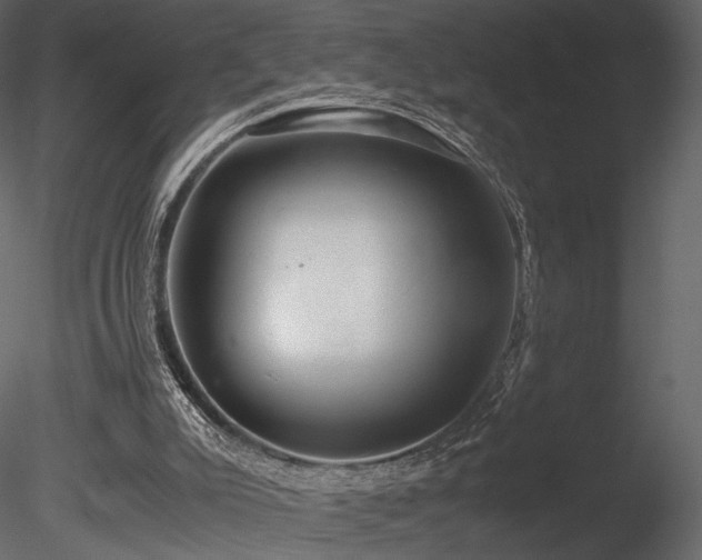 X0000085810007200703161208