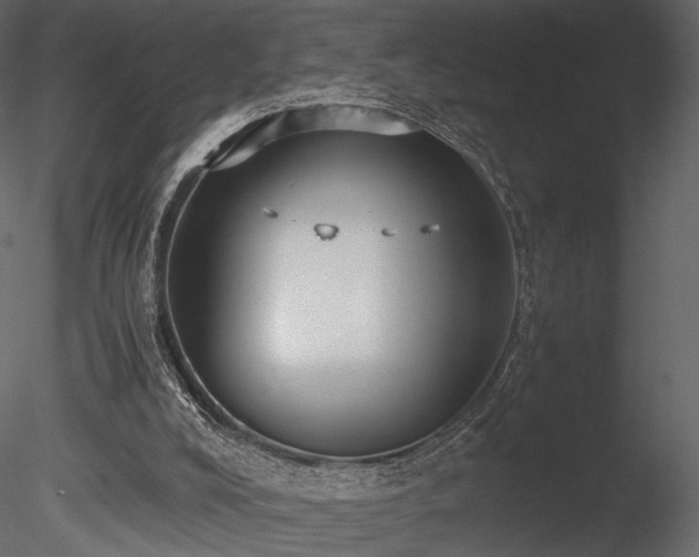 X0000085810008200703161208