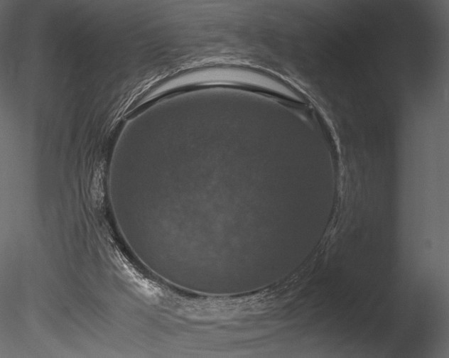 X0000085810009200703161208