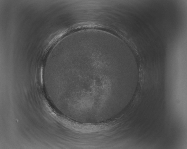 X0000085810014200703161208