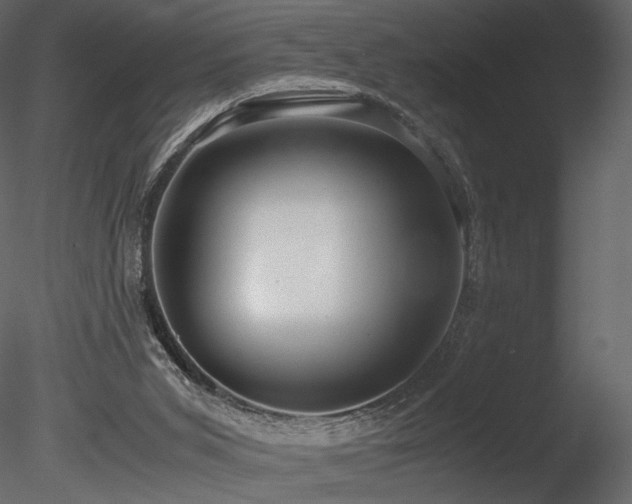 X0000085810015200703161208