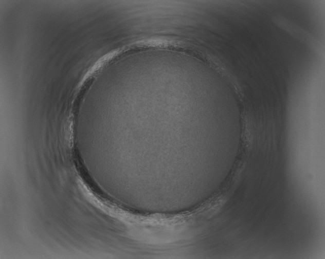 X0000085810016200703161208