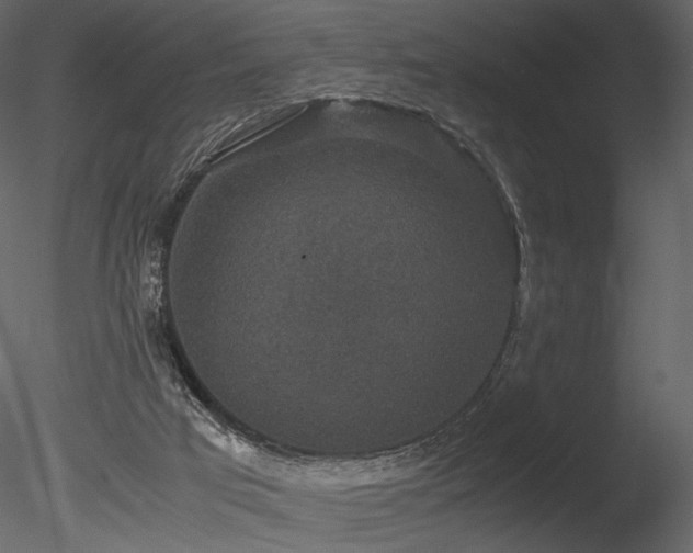 X0000085810017200703161208