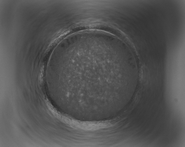 X0000085810018200703161208