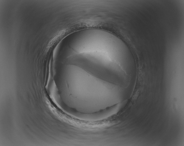 X0000085810019200703161208