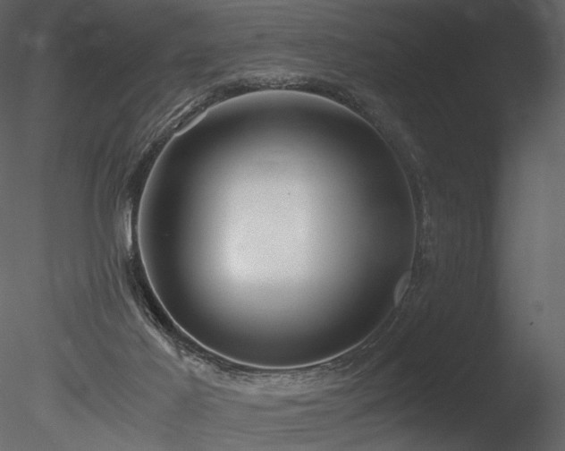 X0000085810021200703161208