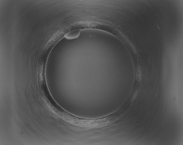 X0000085810023200703161208