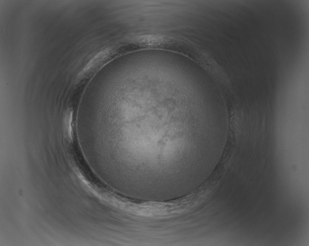 X0000085810024200703161208