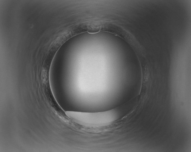 X0000085810025200703161208