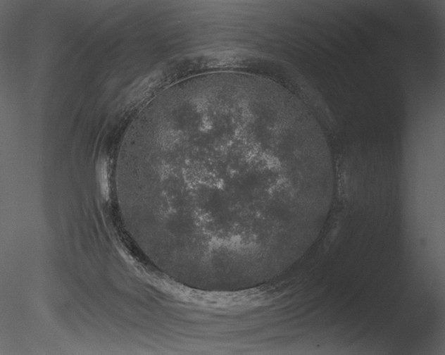 X0000085810026200703161208