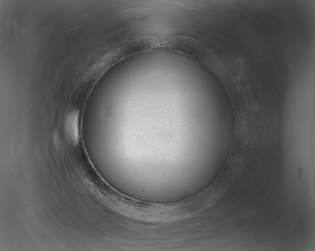 X0000085810028200703161208