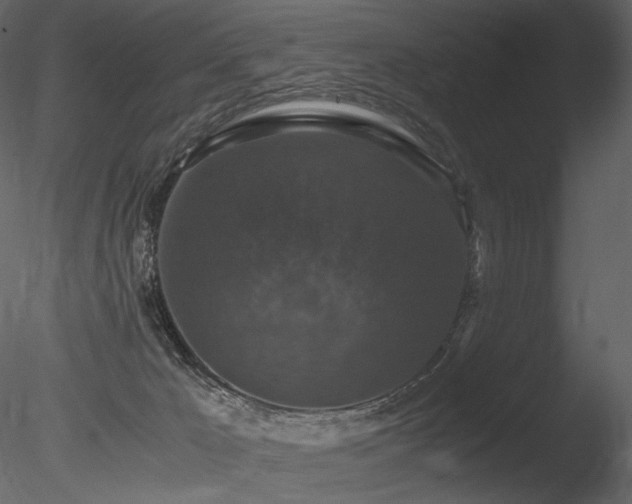 X0000085810029200703161208