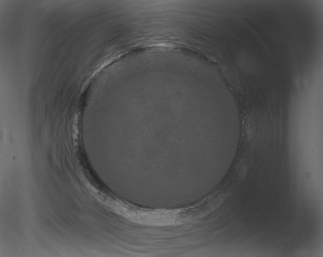 X0000085810032200703161208