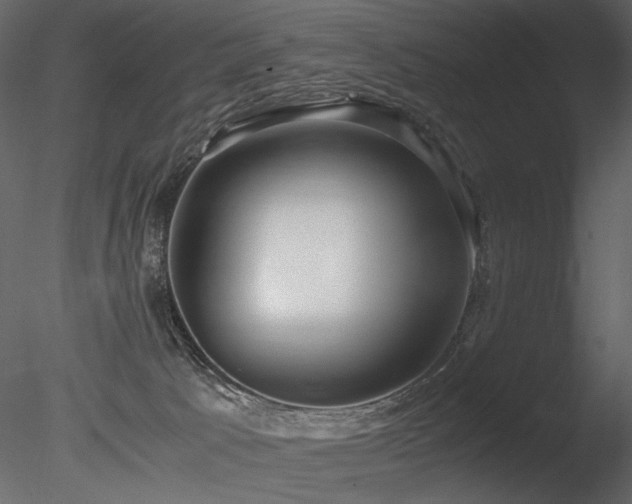 X0000085810033200703161208