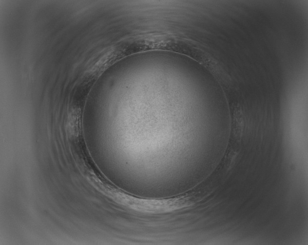 X0000085810034200703161208