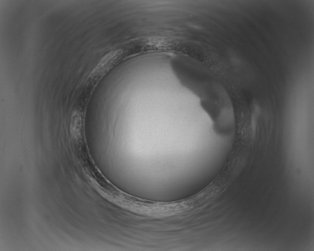 X0000085810036200703161208