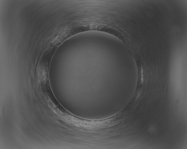 X0000085810039200703161208