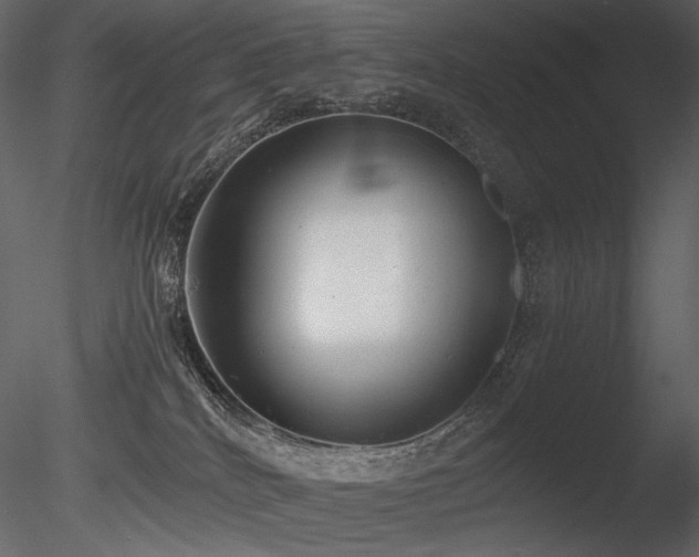 X0000085810040200703161207