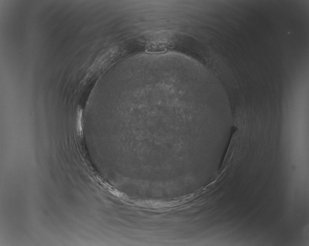 X0000085810041200703161207